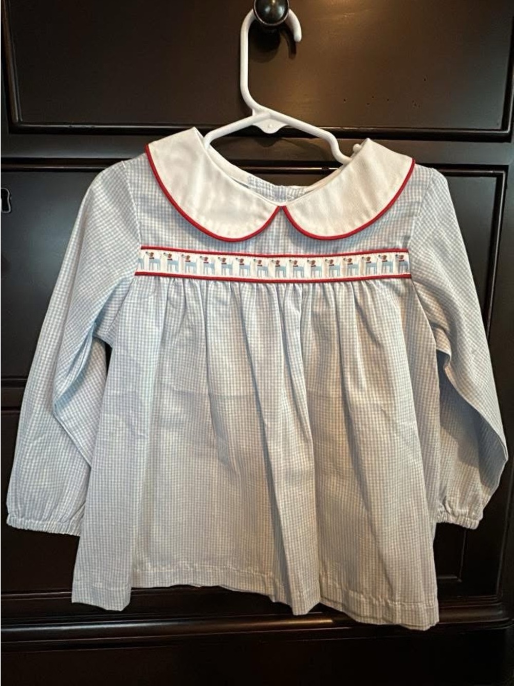 Light Blue Gingham Peter Pan Collar Blouse with Red Trim